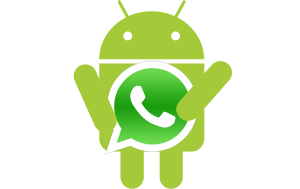 whatsapp android